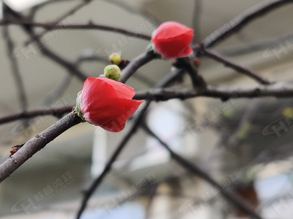 桂林鴻程花團(tuán)錦簇，滿(mǎn)園春色，邀您一起共賞春景，共商大計(jì)！