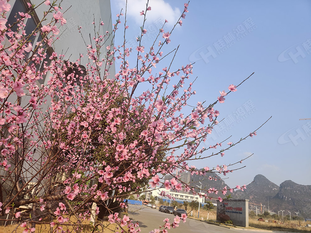 桂林鴻程花團(tuán)錦簇，滿(mǎn)園春色，邀您一起共賞春景，共商大計(jì)！